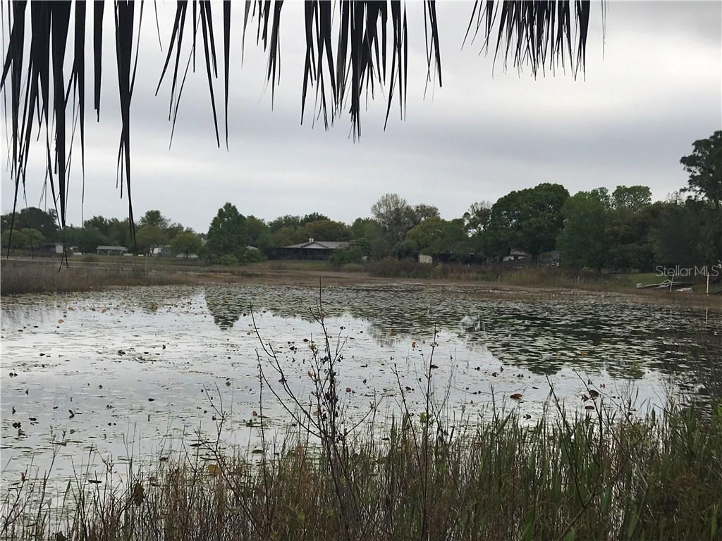 6339 Clearwater Dr., Spring Hill, FL 34606