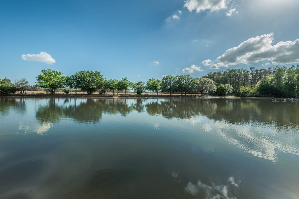 11748 Yellow Finch Ln., Trinity, FL 34655