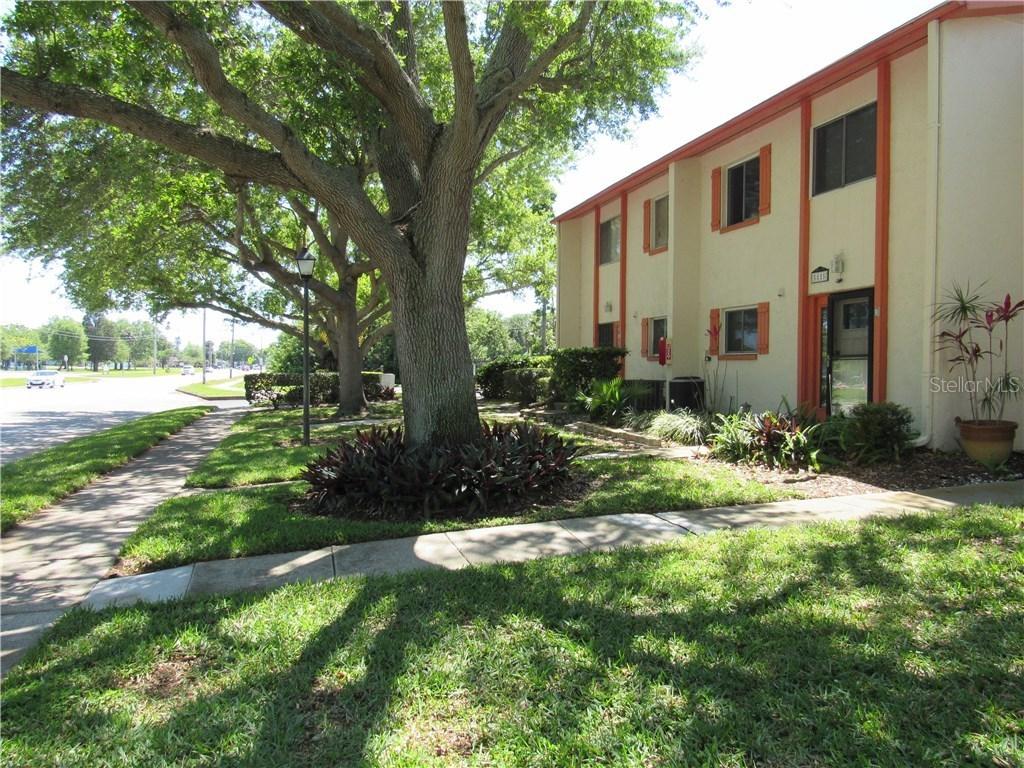 5855 16th St. #5, St Petersburg, FL 33705