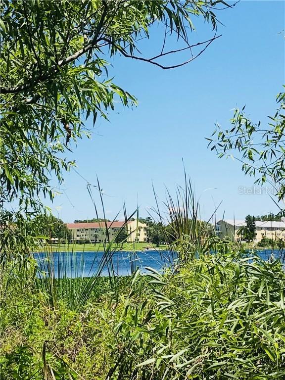 Cunningham Dr., Clearwater, FL 33756