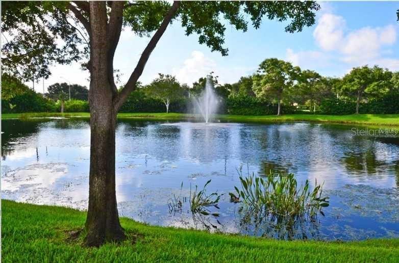 10263 Gandy Blvd. #116, St Petersburg, FL 33702
