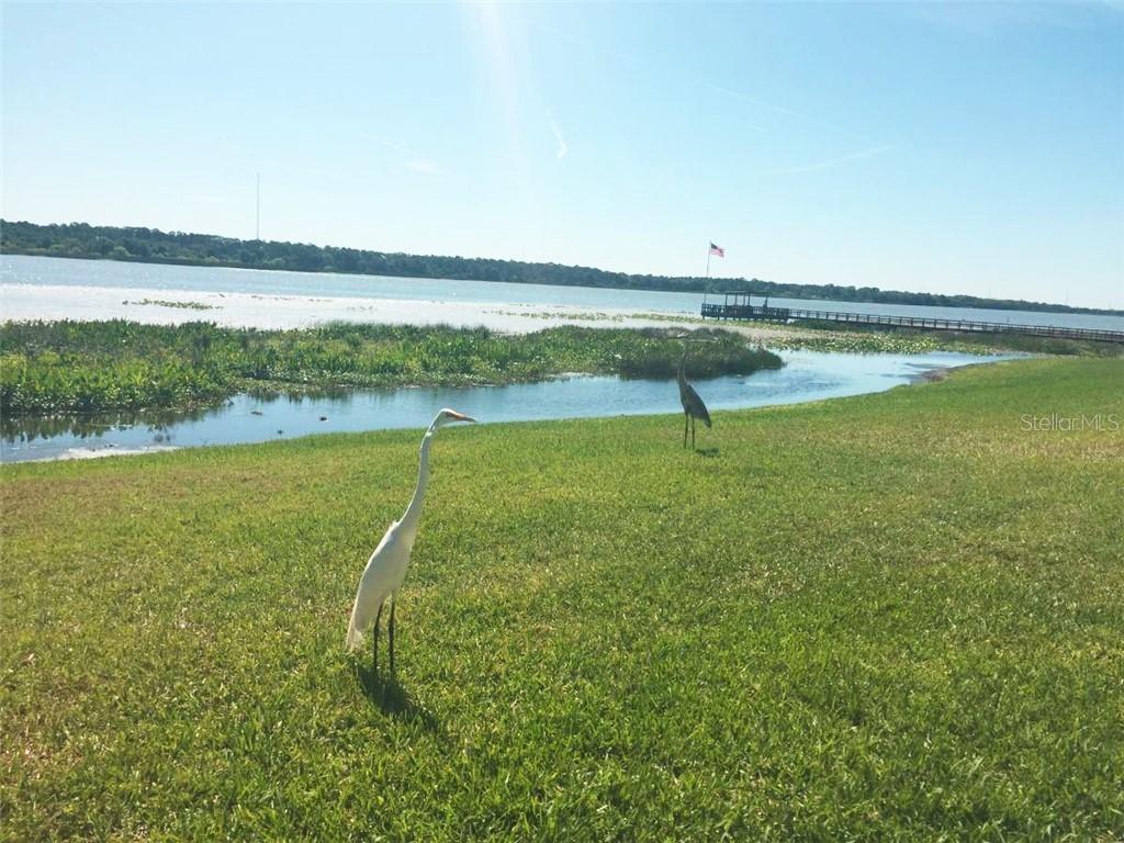 9209 Seminole Blvd. #122, Seminole, FL 33772