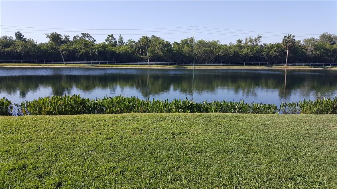 724 115th Ave. #2201, St Petersburg, FL 33716