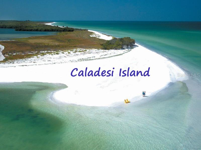 2683 Rachel Ct., Palm Harbor, FL 34684