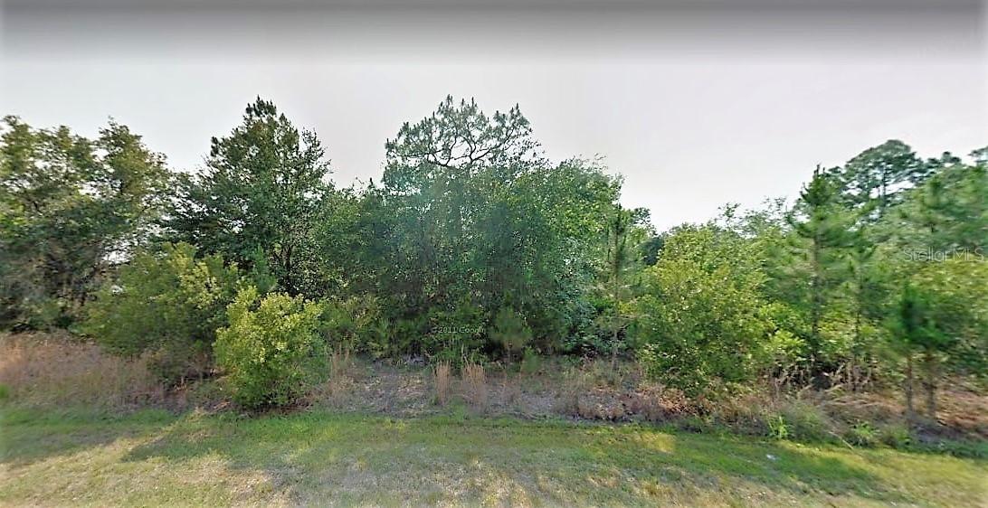 1451 Tern Ct., Poinciana, FL 34759