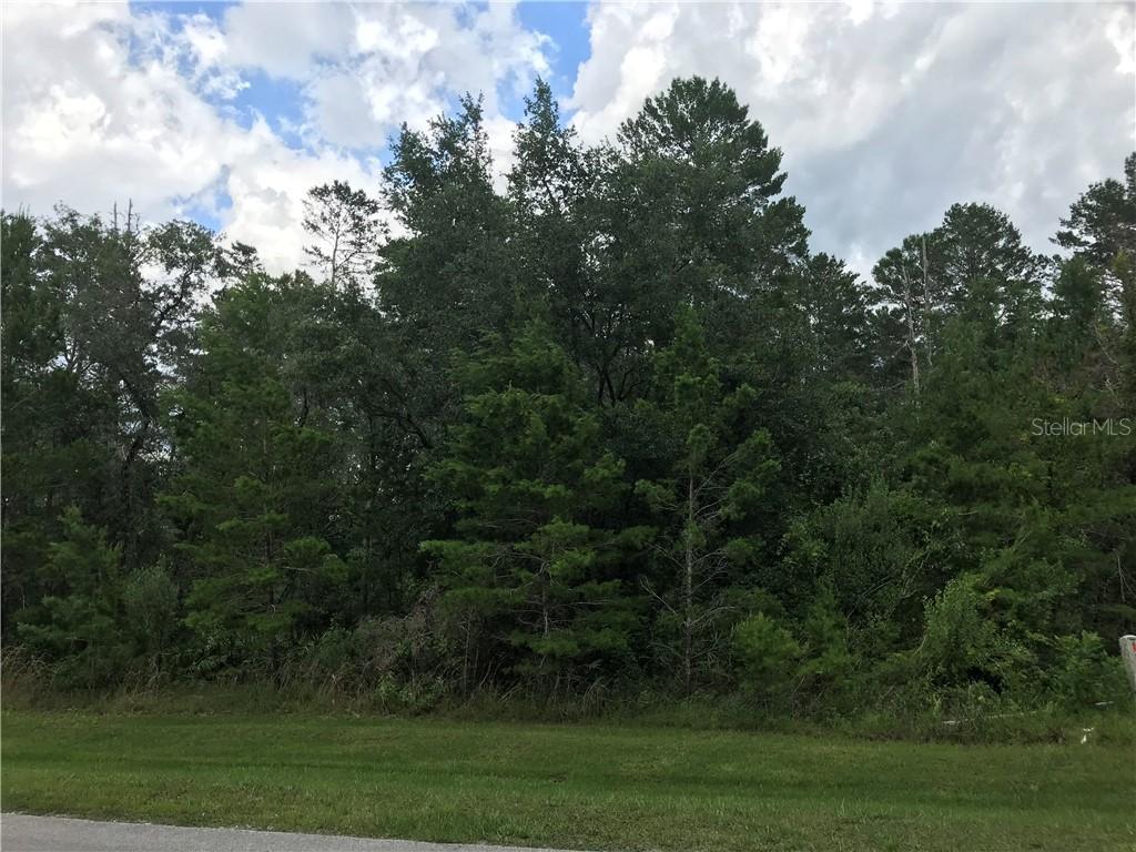13915 Sand Oak Ct., Hudson, FL 34669