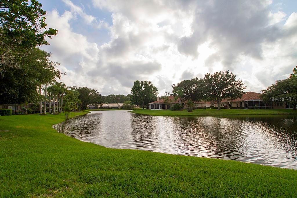 5545 Greyston St., Palm Harbor, FL 34685