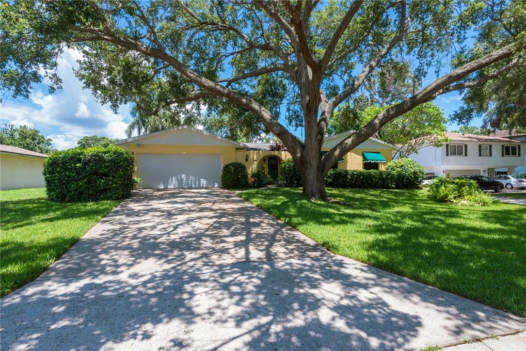8431 Orient Way, St Petersburg, FL 33702