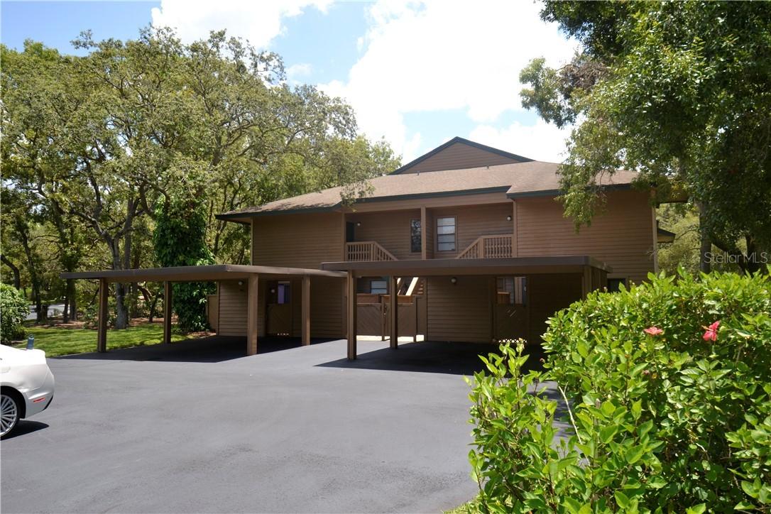 1304 Lennox Rd., Palm Harbor, FL 34683