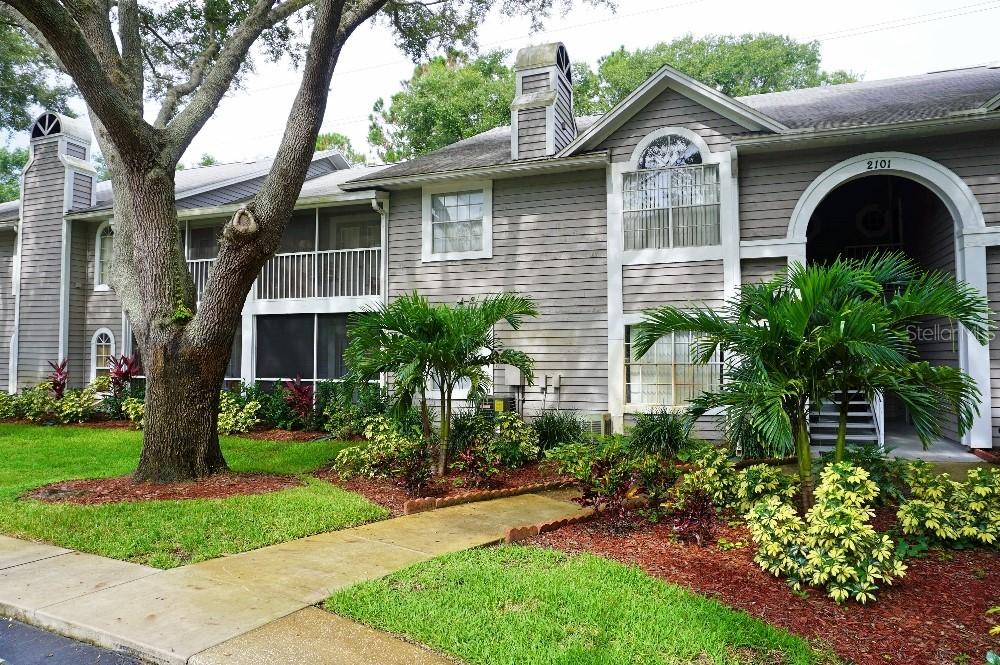 2101 Fox Chase Blvd. #106, Palm Harbor, FL 34683