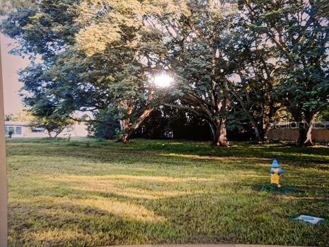 Bluebird Dr., Holiday, FL 34690