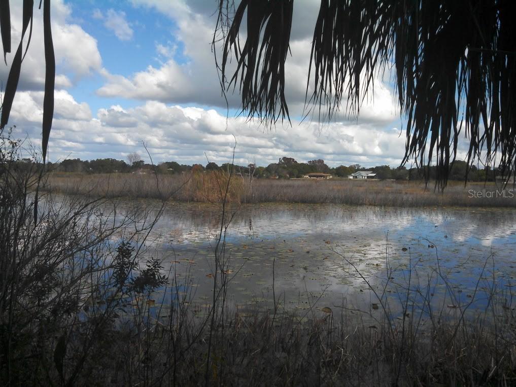 6323 Clearwater Dr., Spring Hill, FL 34606