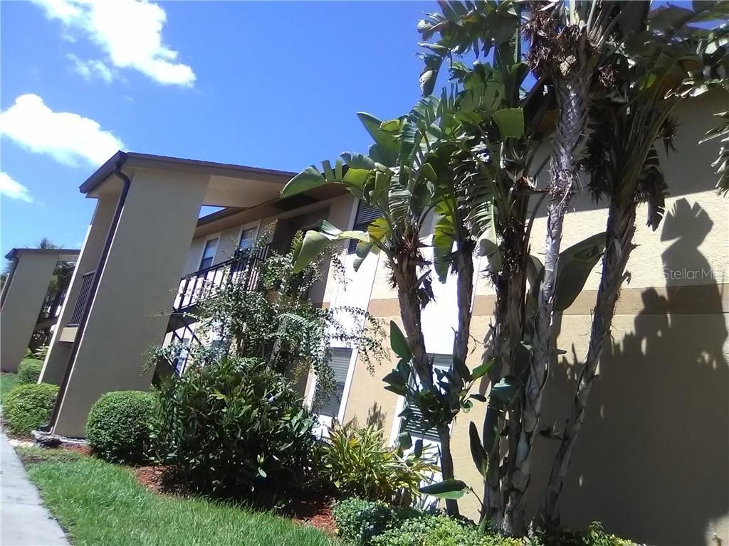 10177 Sailwinds Blvd. #203, Largo, FL 33773