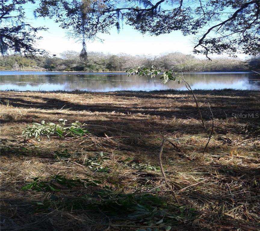 10017 Frierson Lake Dr., Hudson, FL 34669