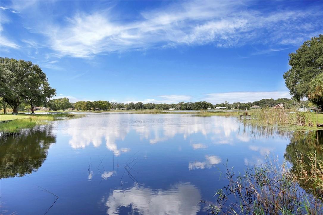 23743 Lake Hills Dr., Lutz, FL 33559