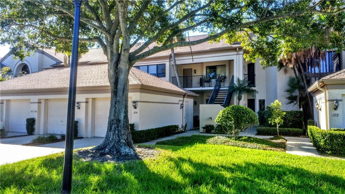 3044 Red Oak Ct. #104, Palm Harbor, FL 34684