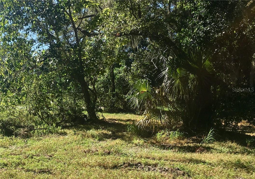 6430 Oran St., Tampa, FL 33610
