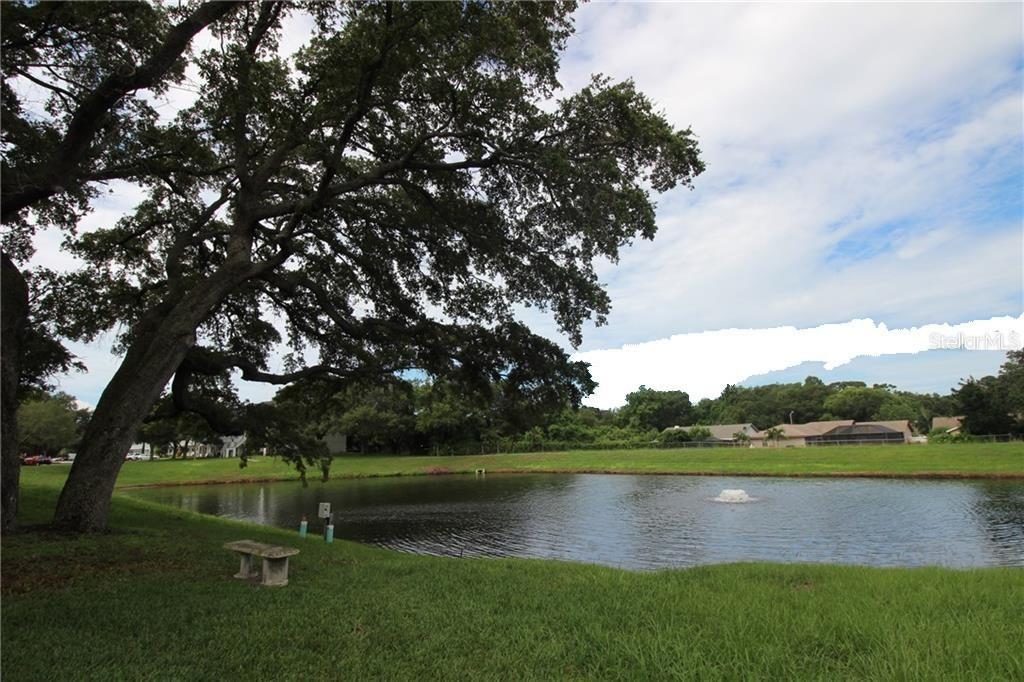 2229 Americus Blvd. #43, Clearwater, FL 33763