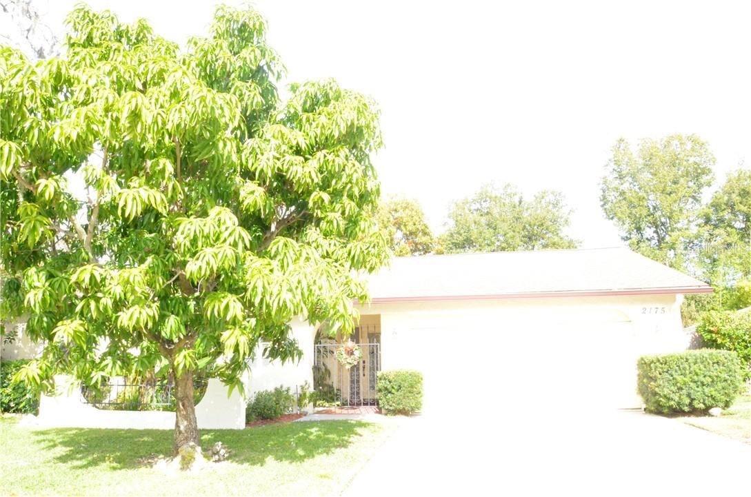 2175 Blue Tern Dr., Palm Harbor, FL 34683