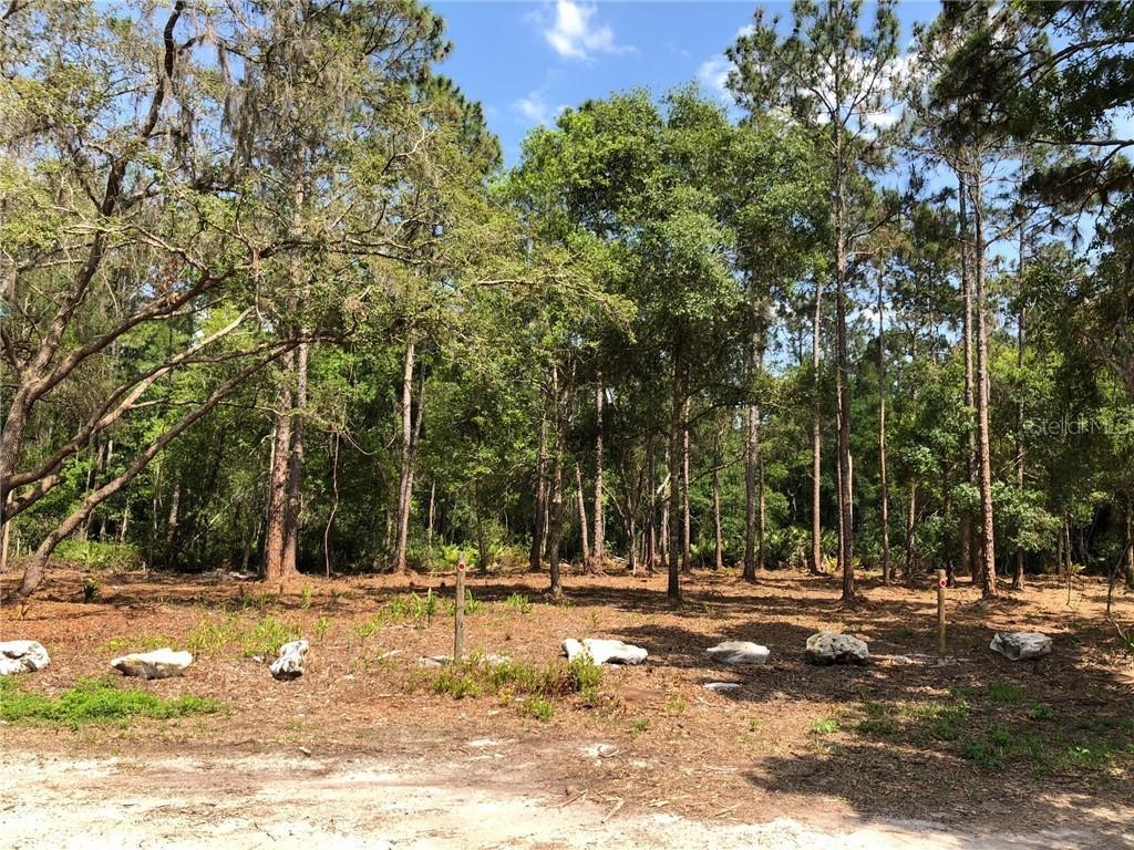 14747 Coloma Ln., Odessa, FL 33556