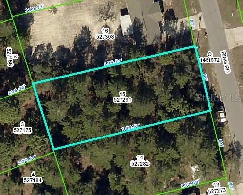 2313 Ring Rd., Spring Hill, FL 34609