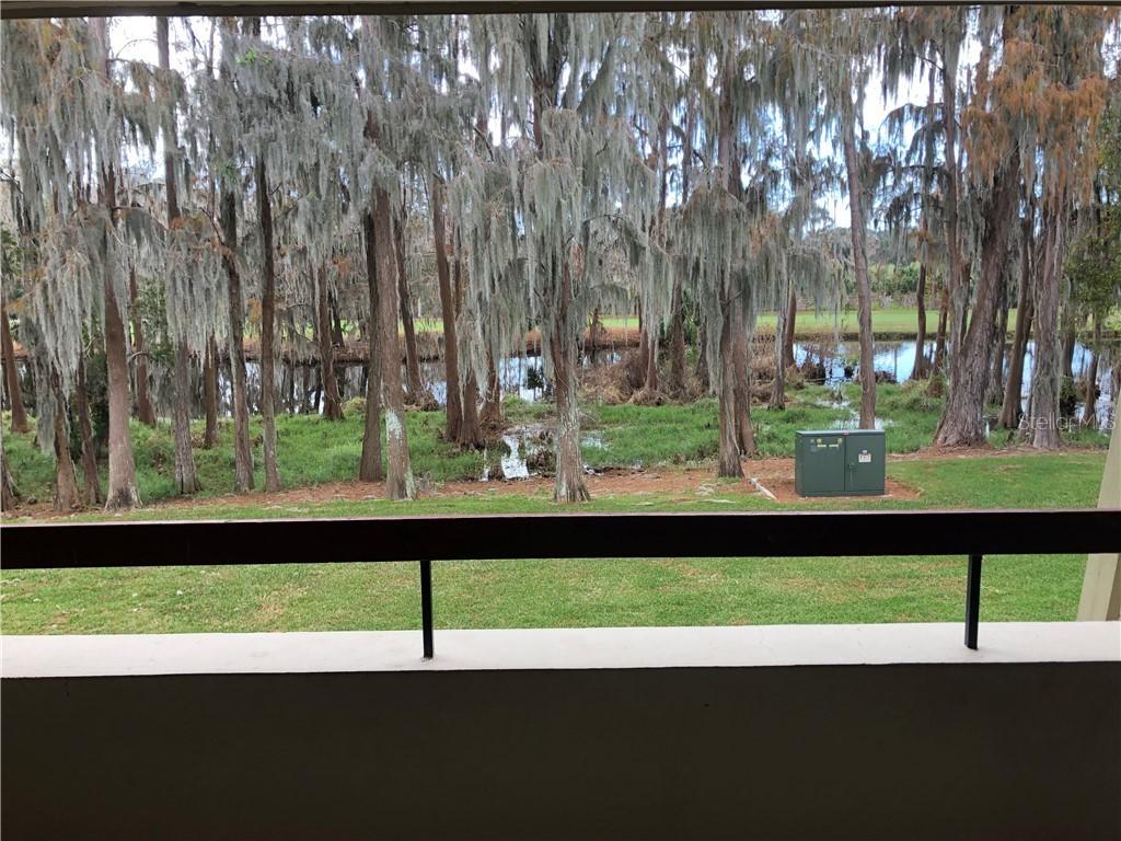 36750 Us Highway 19 #3-203, Palm Harbor, FL 34683