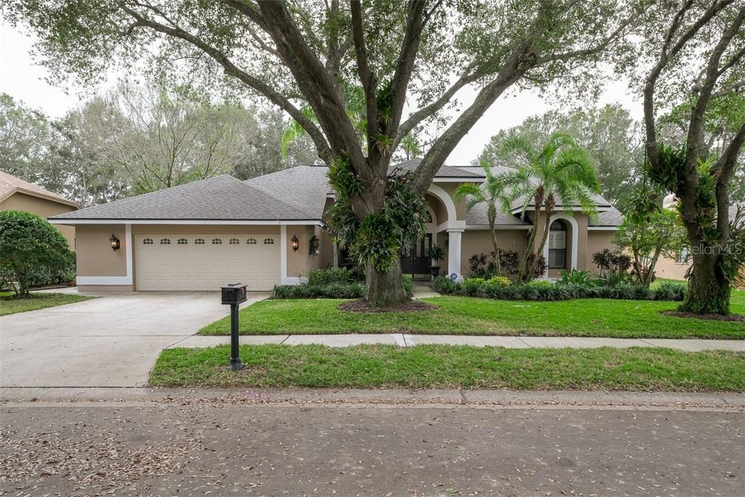 4702 Brayton Ter., Palm Harbor, FL 34685