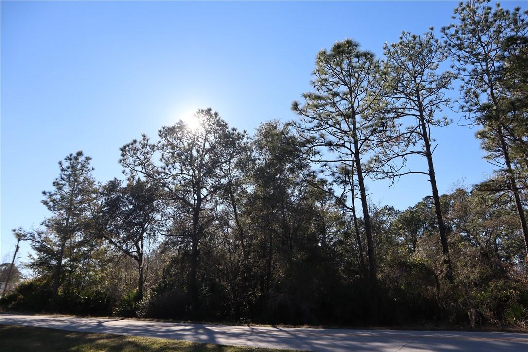 7931 W Delta Ct., Crystal River, FL 34428