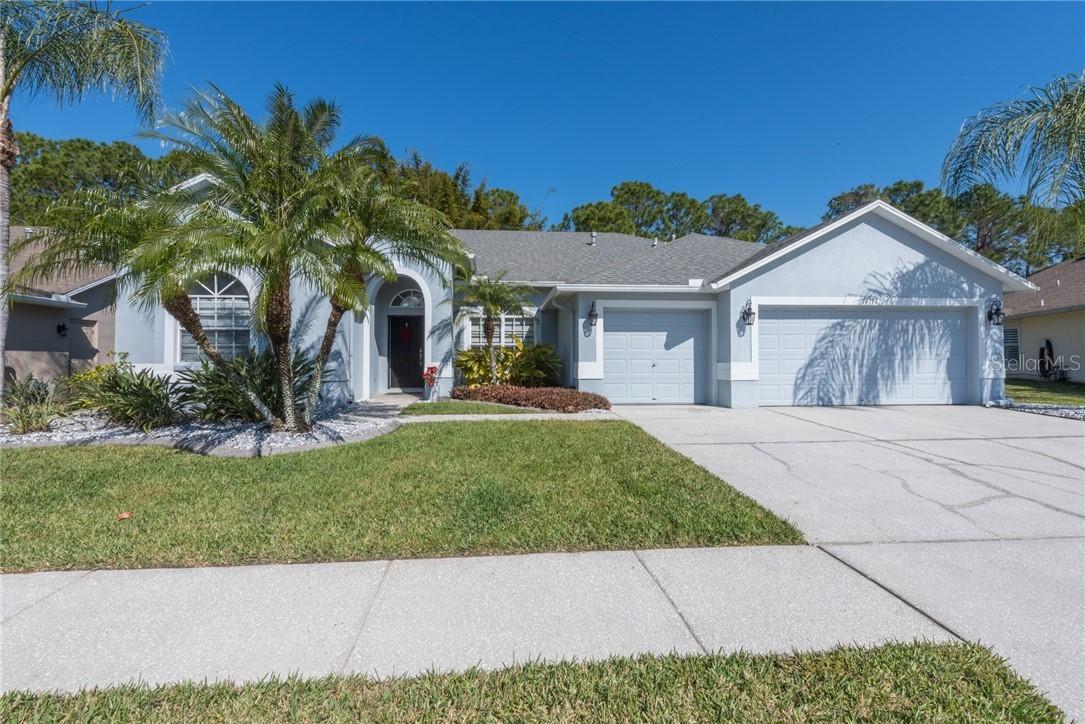 14711 Coral Berry Dr., Tampa, FL 33626