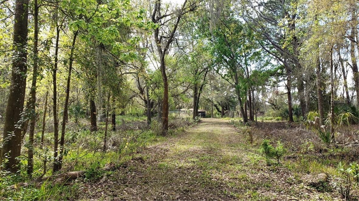 5605 W Knights Griffin Rd., Plant City, FL 33565