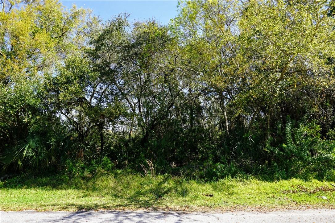 Phoenix Ave., Oldsmar, FL 34677