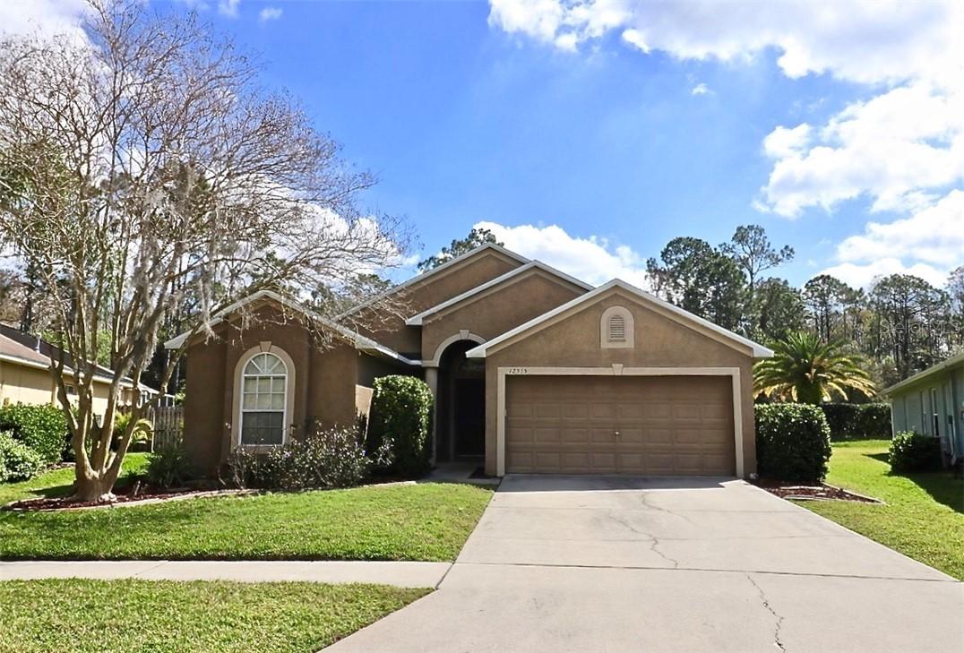 12515 Deerberry Ln., Tampa, FL 33626