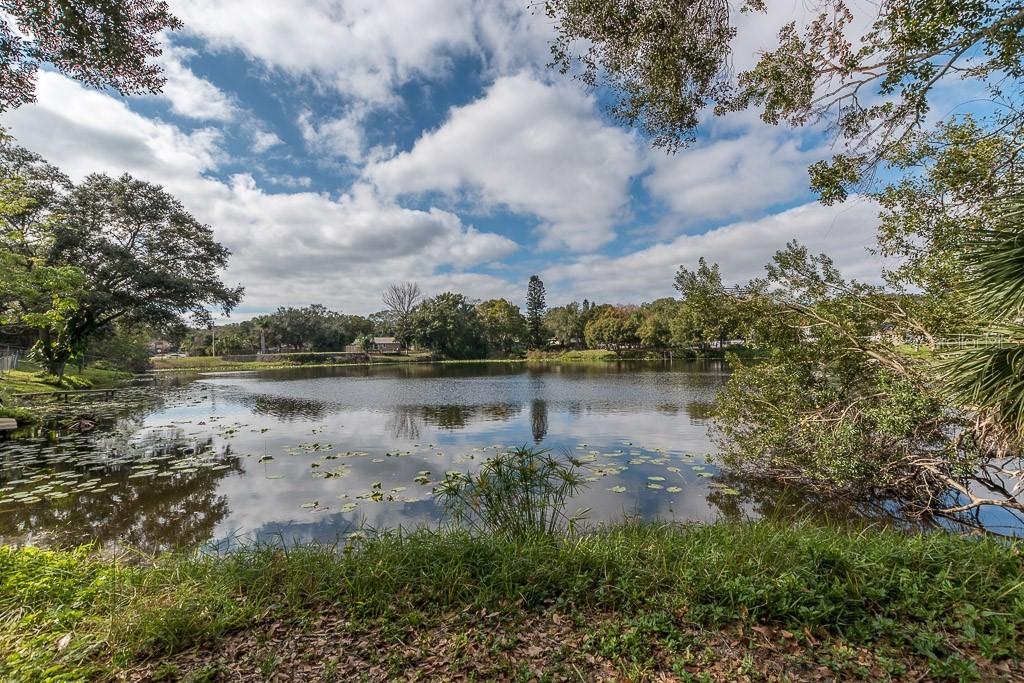 3778 Lake Shore Dr., Palm Harbor, FL 34684