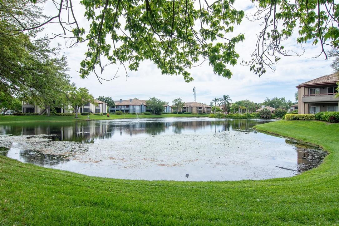 10265 Gandy Blvd. #1408, St Petersburg, FL 33702
