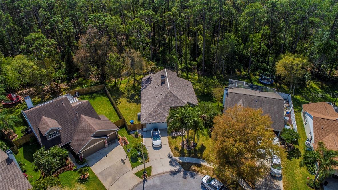 5696 Bridgeton Ct., Palm Harbor, FL 34685