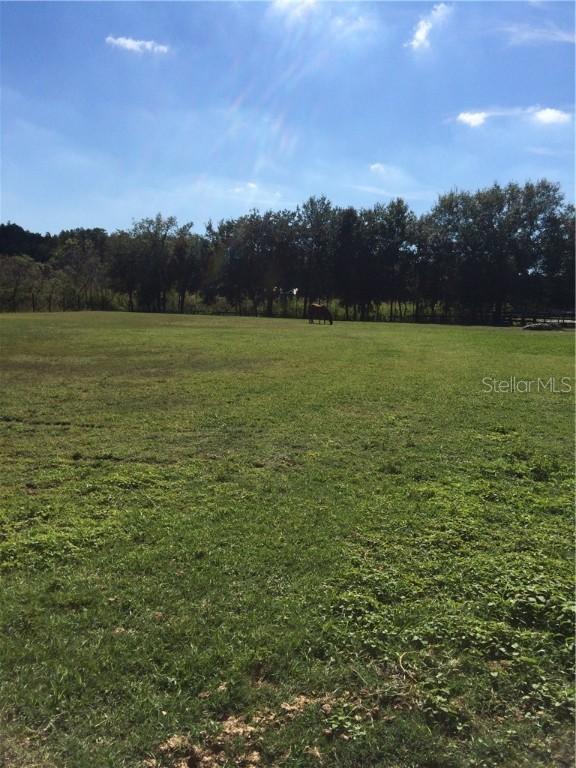 Innfields Dr., Odessa, FL 33556