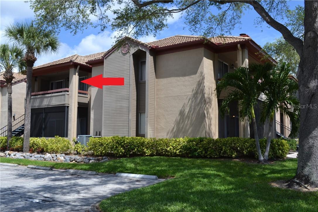 10265 Gandy Blvd. #904, St. Petersburg, FL 33702