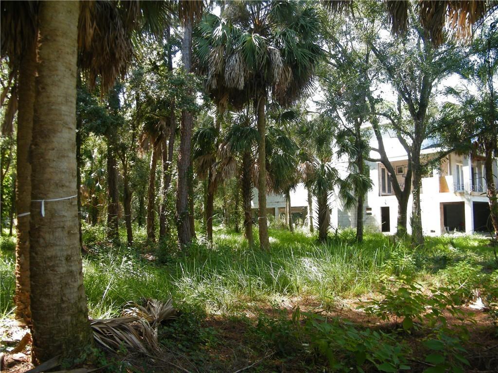 Phoenix Ave., Oldsmar, FL 34677