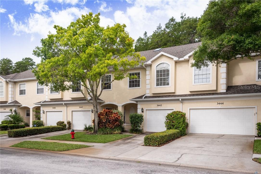 3442 Primrose Way, Palm Harbor, FL 34683