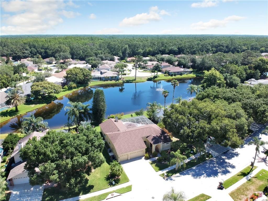 4163 Ridgemoor Dr., Palm Harbor, FL 34685