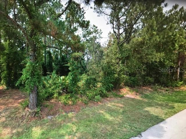 49 Kathleen Tr., Palm Coast, FL 32164