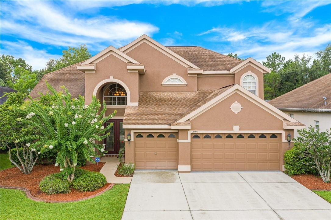 23510 Vistamar Ct., Land O Lakes, FL 34639