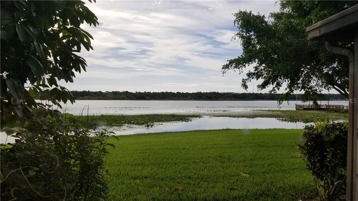 9209 Seminole Blvd. #115, Seminole, FL 33772