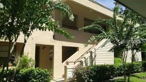 4983 Puritan Cir. #524, Tampa, FL 33617