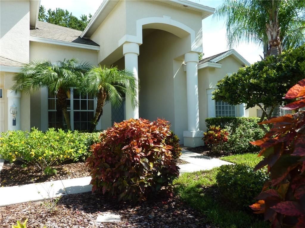 21221 Lake Talia Blvd., Land O Lakes, FL 34638