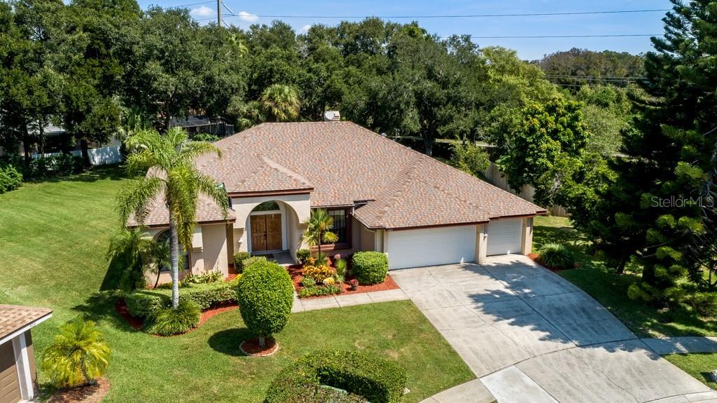 401 Pine Warbler Way, Palm Harbor, FL 34683