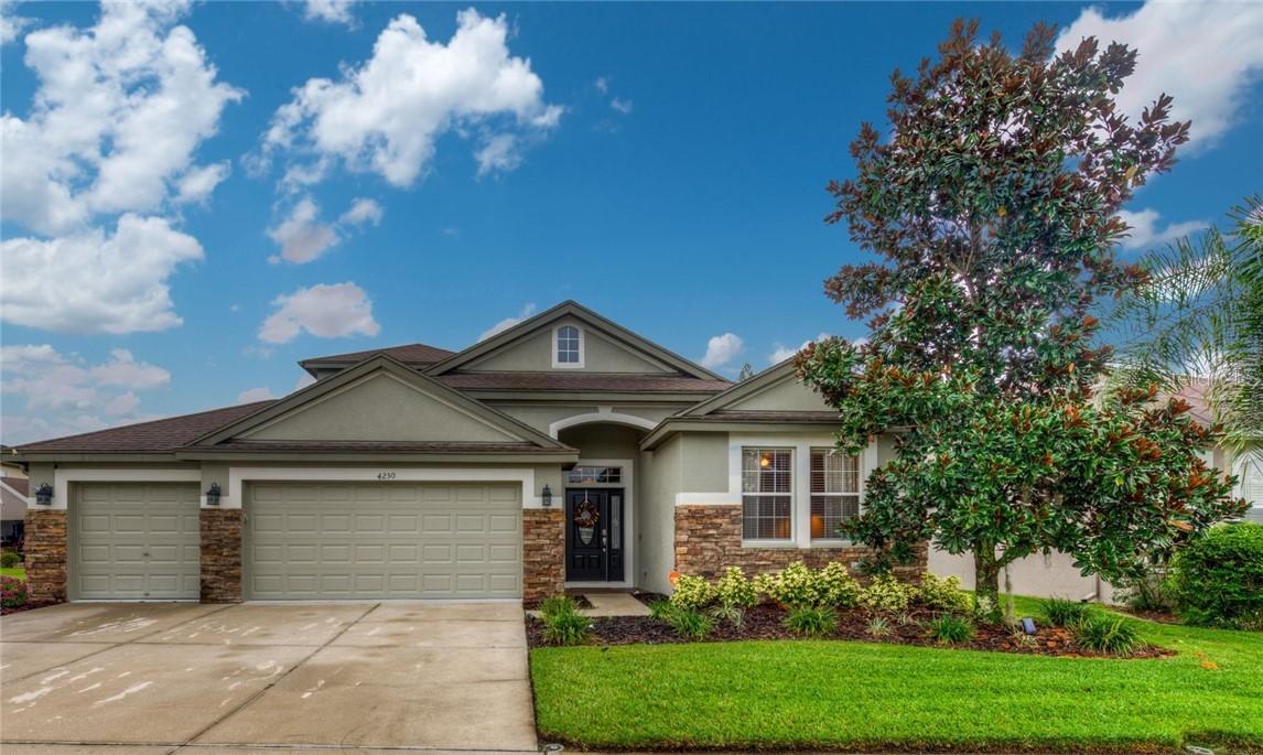 4250 Knollpoint Dr., Wesley Chapel, FL 33544