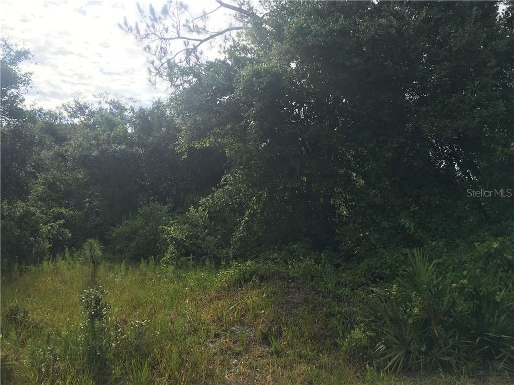 1211 Baltic Dr Dr., Poinciana, FL 34759