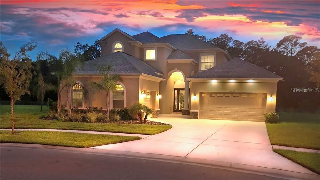 27170 Hawks Nest Cir., Wesley Chapel, FL 33544