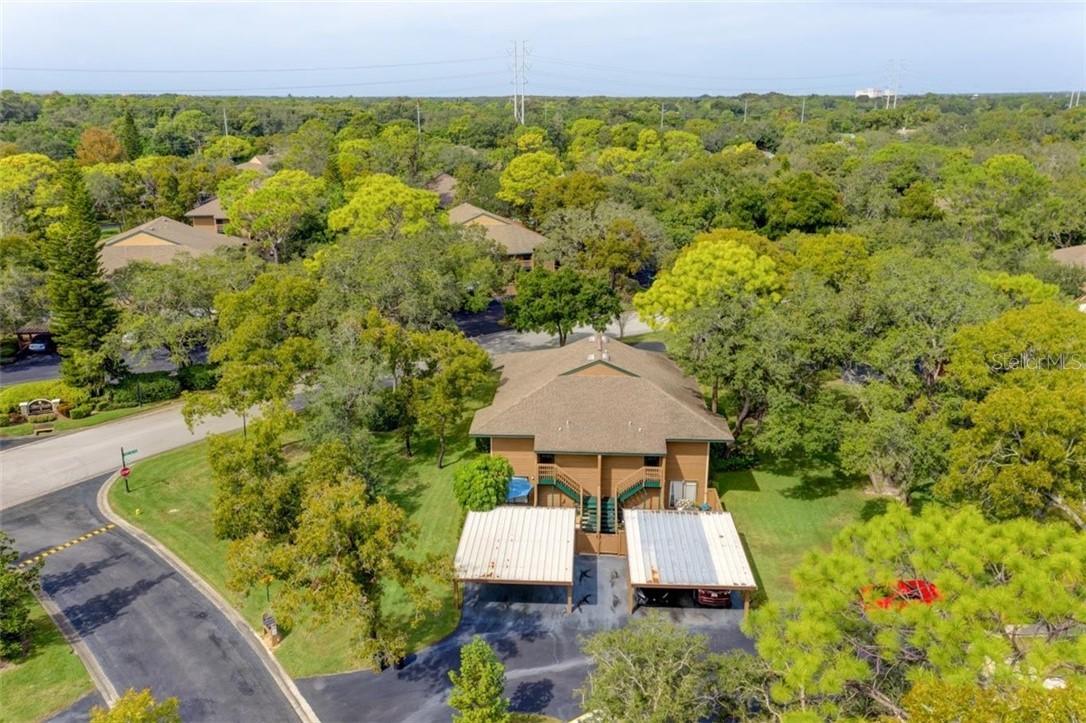 1204 Lennox Rd., Palm Harbor, FL 34683